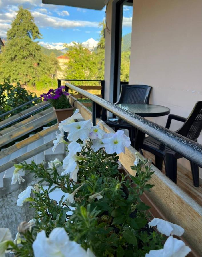 Monte Bianco Bed & Breakfast Mestia Exterior photo